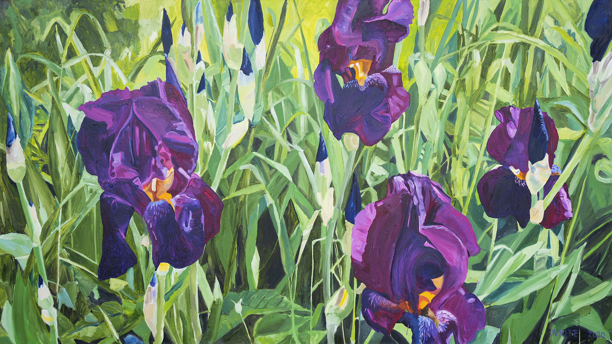 Reed White Flower Painting